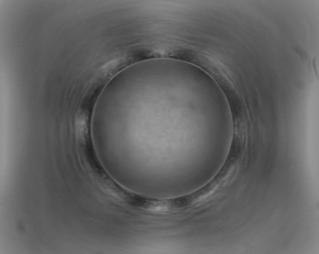 X0000115800127200911131408
