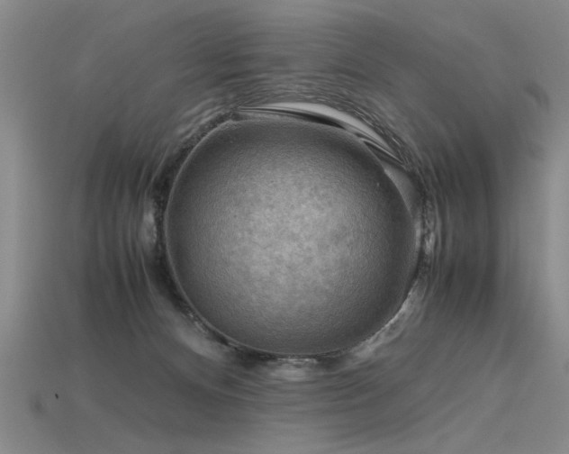 X0000115800128200911131408