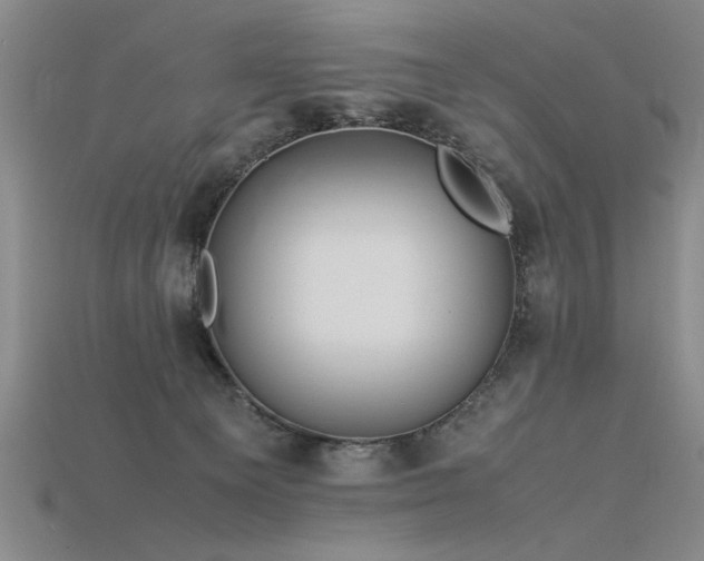 X0000115800129200911131408