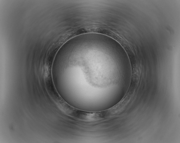 X0000115800130200911131408