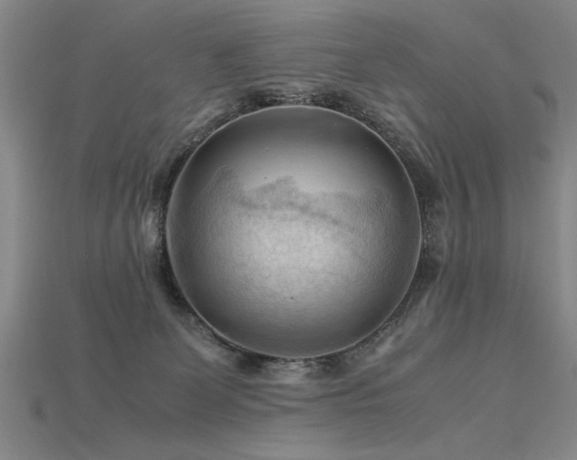 X0000115800131200911131408