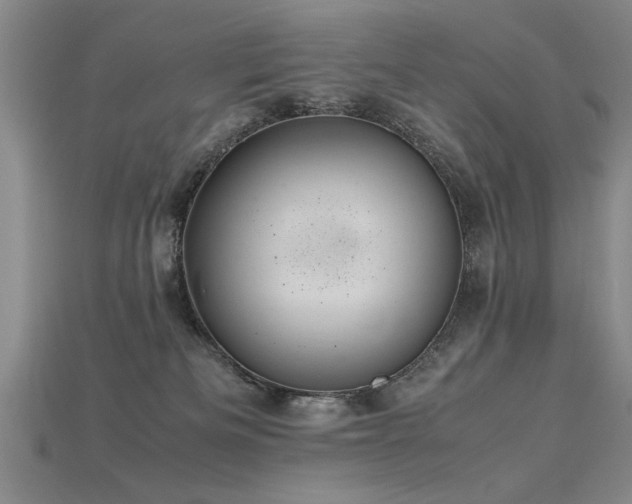 X0000115800133200911131408