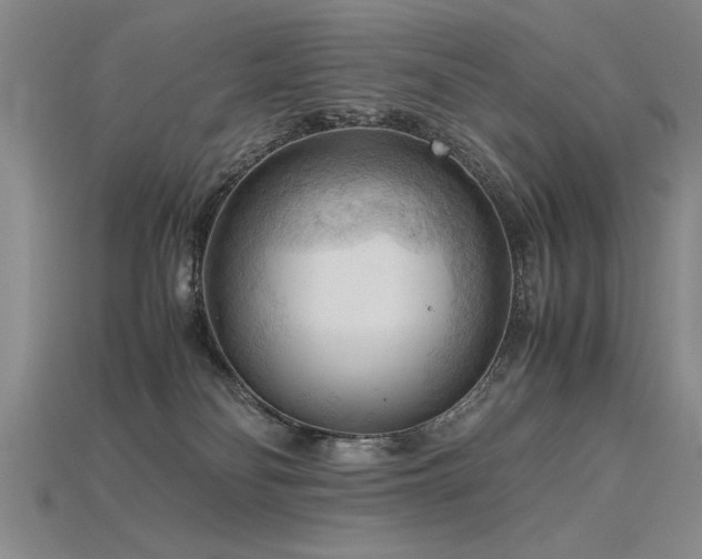 X0000115800134200911131408