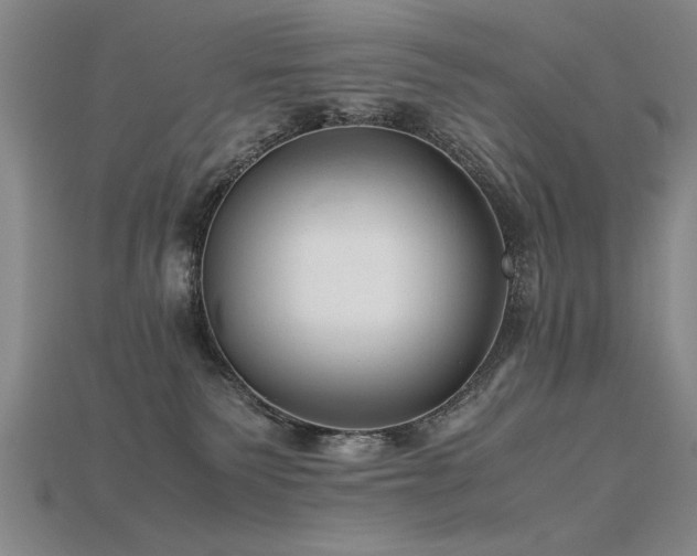 X0000115800135200911131408