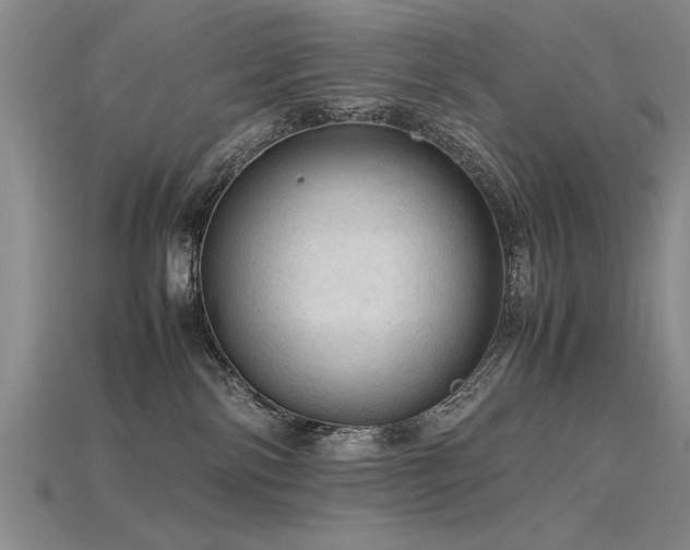 X0000115800138200911131408