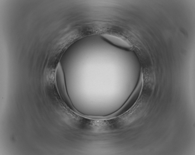 X0000115800141200911131407