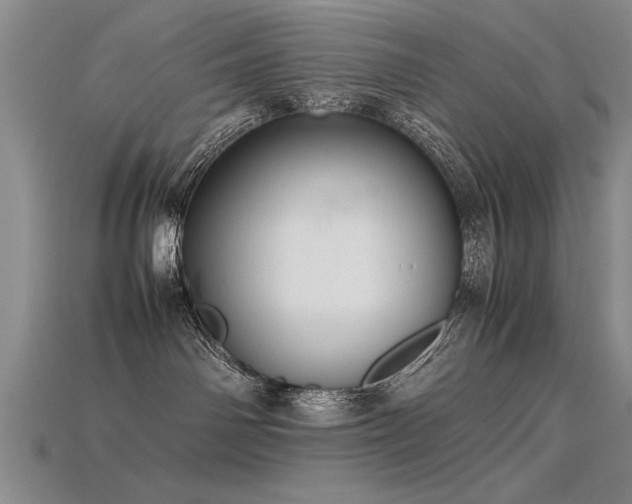 X0000115800142200911131407