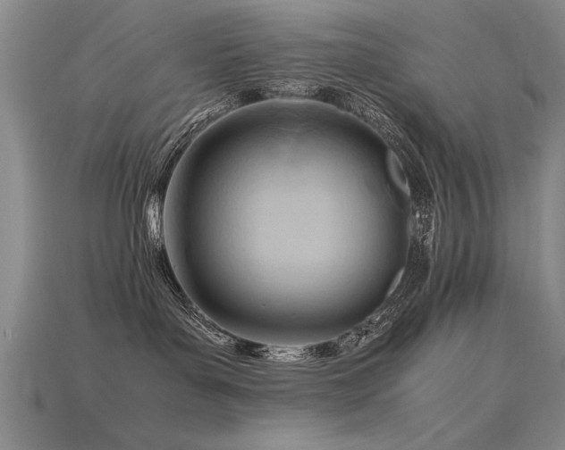 X0000115800143200911131407