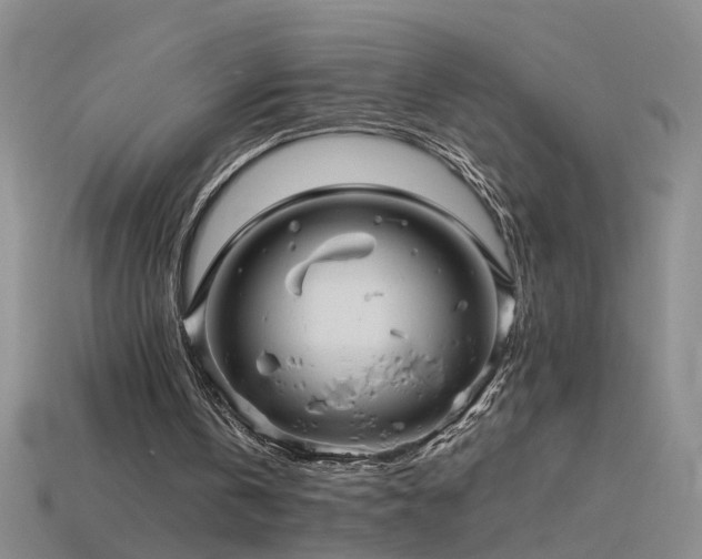 X0000115800146200911131407