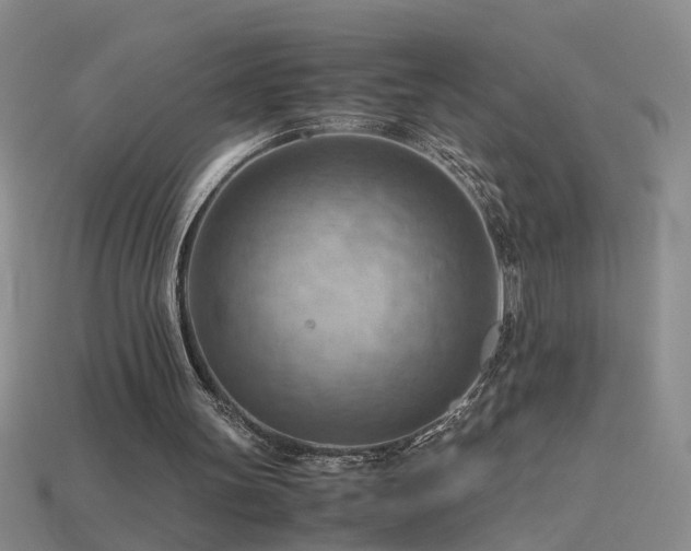 X0000115800147200911131407