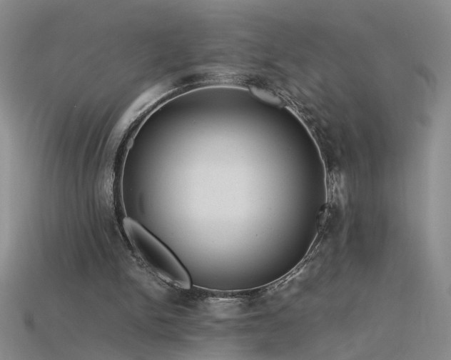 X0000115800150200911131407