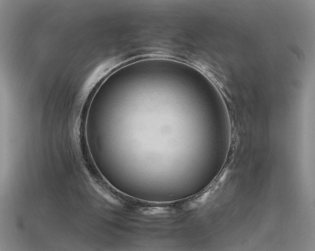 X0000115800151200911131407