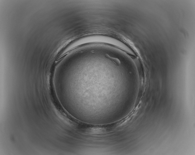 X0000115800154200911131407