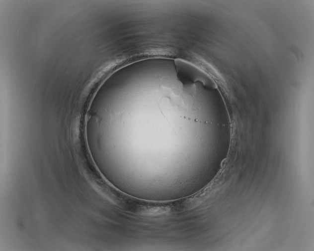 X0000115800155200911131407