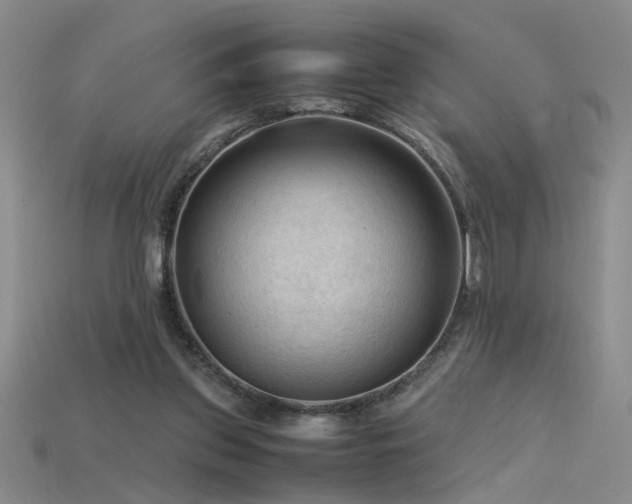 X0000115800157200911131407