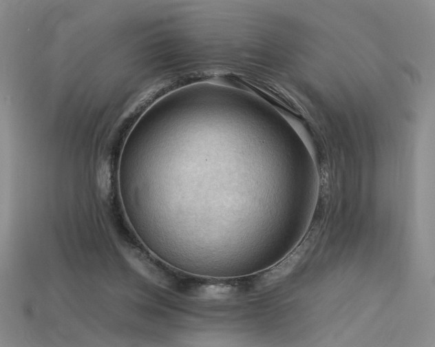 X0000115800158200911131407