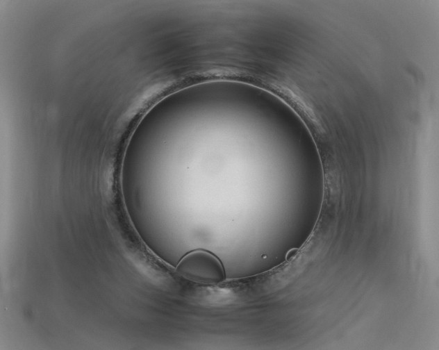 X0000115800159200911131407