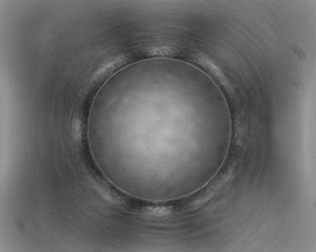 X0000115800161200911131407
