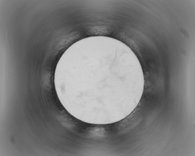 X0000115800162200911131407