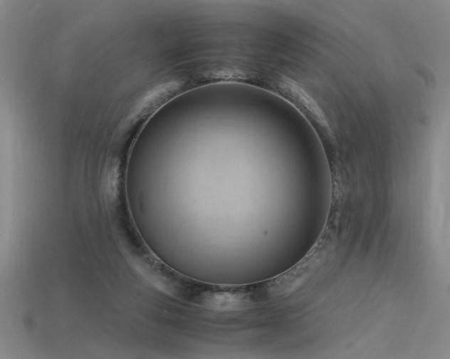 X0000115800163200911131407