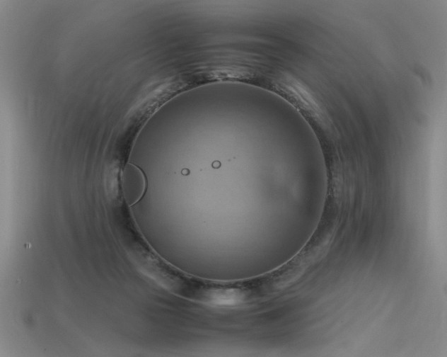 X0000115800169200911131407