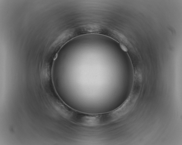 X0000115800170200911131407