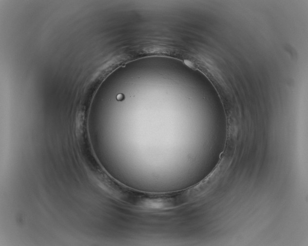 X0000115800171200911131407