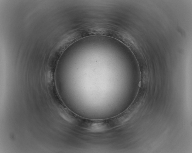 X0000115800173200911131407