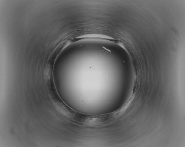 X0000115800174200911131407