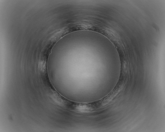 X0000115800177200911131407