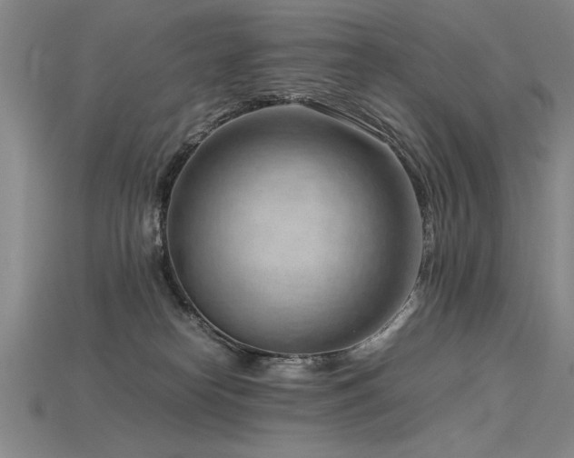 X0000115800182200911131407