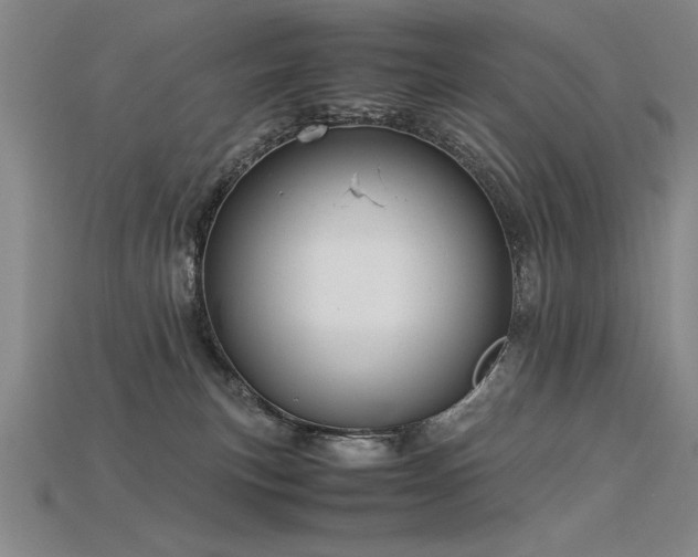 X0000115800183200911131407