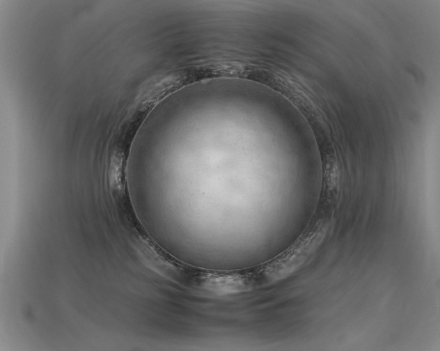 X0000115800185200911131407