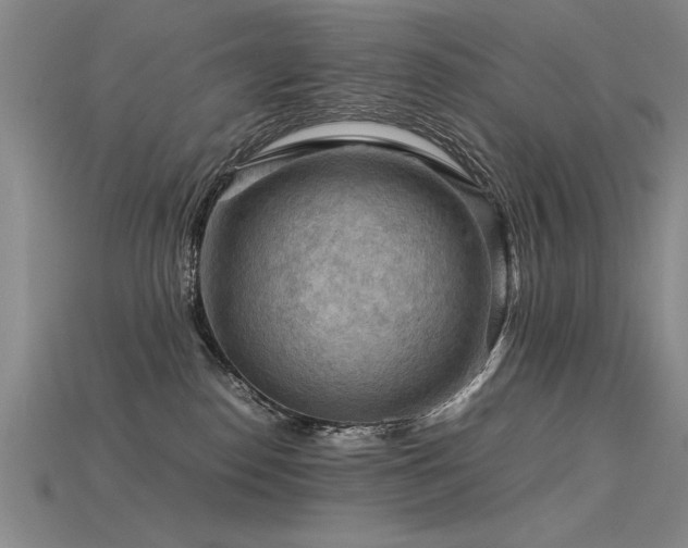 X0000115800186200911131407
