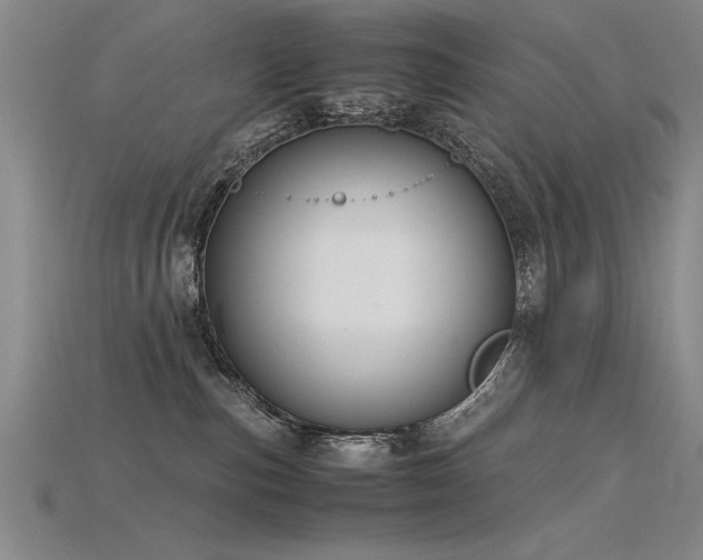 X0000115800187200911131407