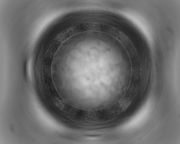 X0000115800189200911131407