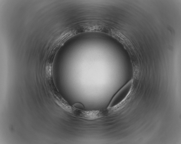 X0000115800191200911131407