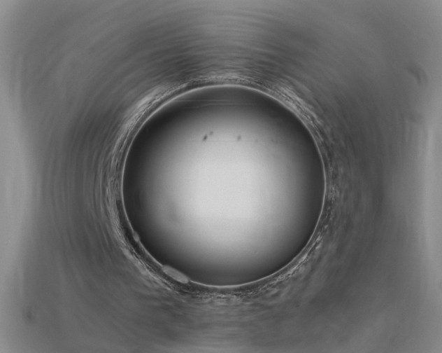 X0000115800193200911131407