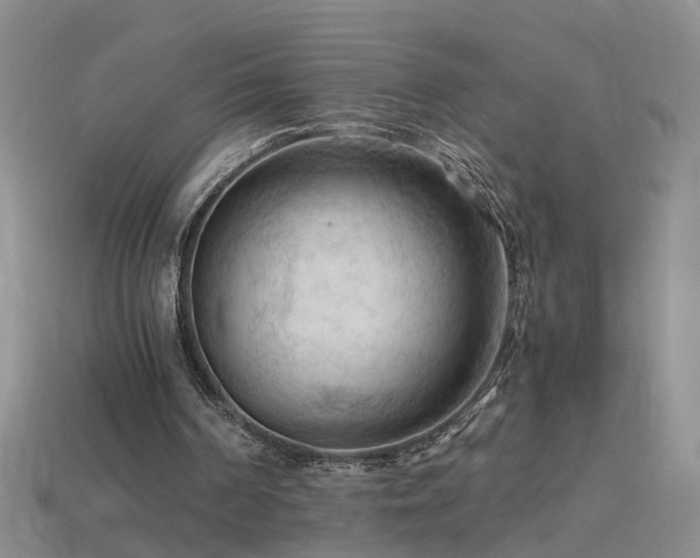 X0000115800194200911131407