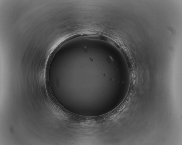 X0000115800196200911131407