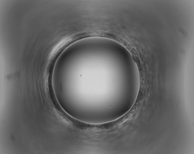 X0000115800197200911131407