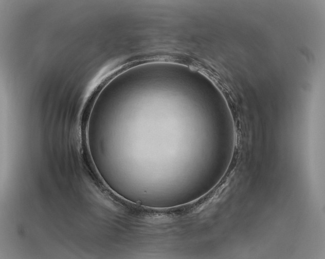X0000115800198200911131407