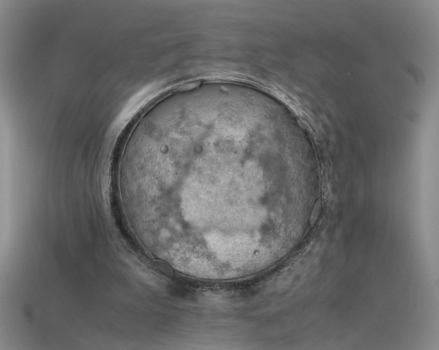 X0000115800199200911131407