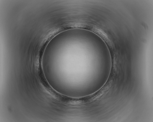 X0000115800202200911131407