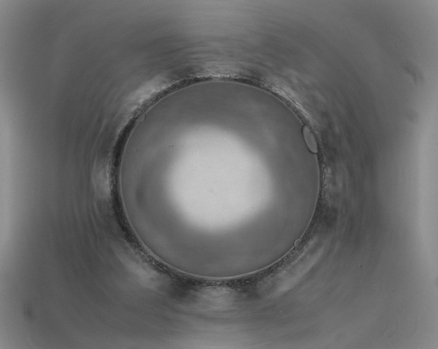 X0000115800203200911131407