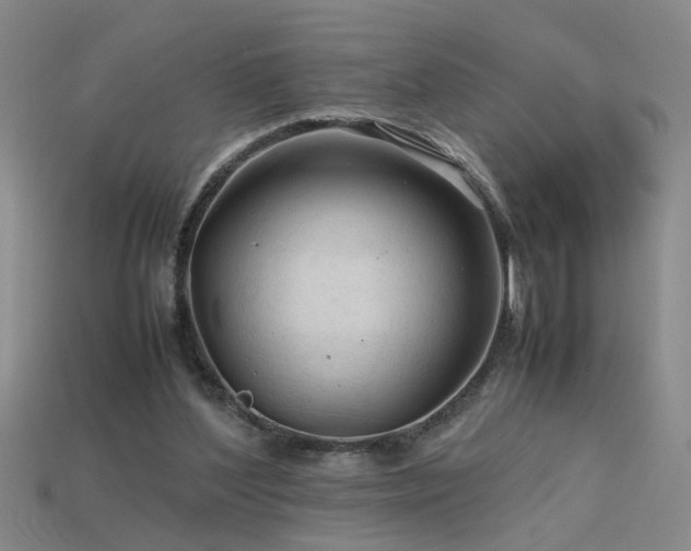 X0000115800204200911131407