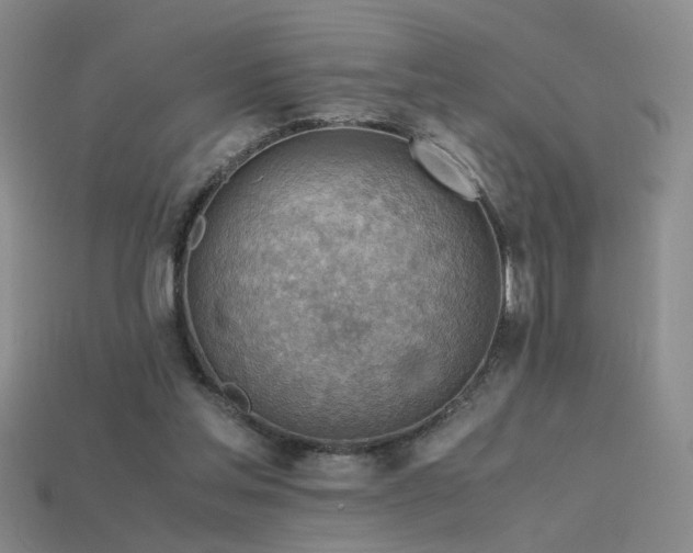 X0000115800205200911131407