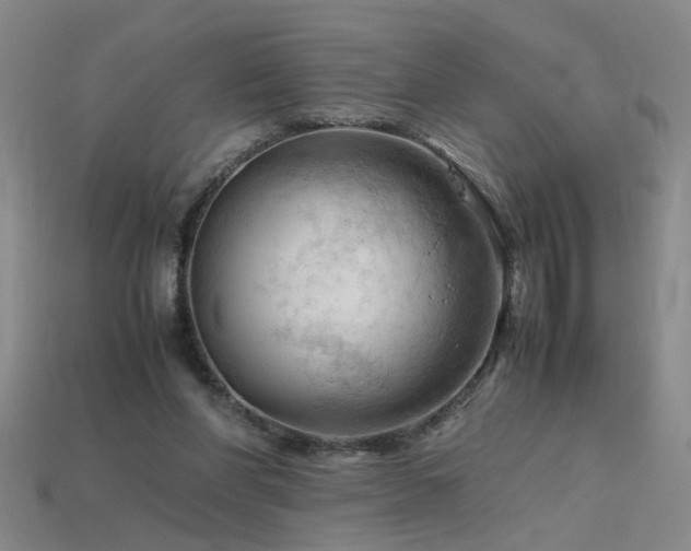 X0000115800206200911131407