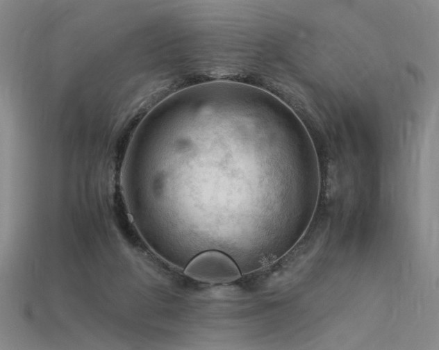 X0000115800210200911131407