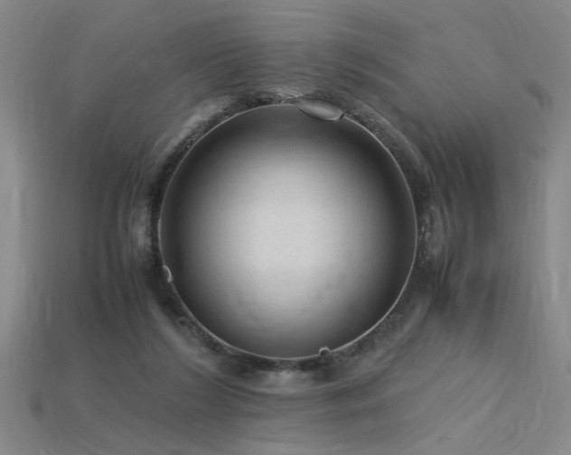 X0000115800212200911131407